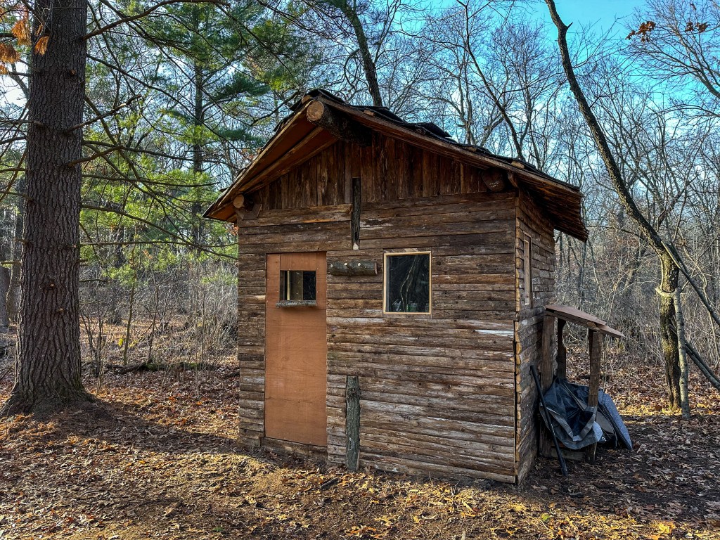 Building a Tiny Cabin in the&nbsp;Woods