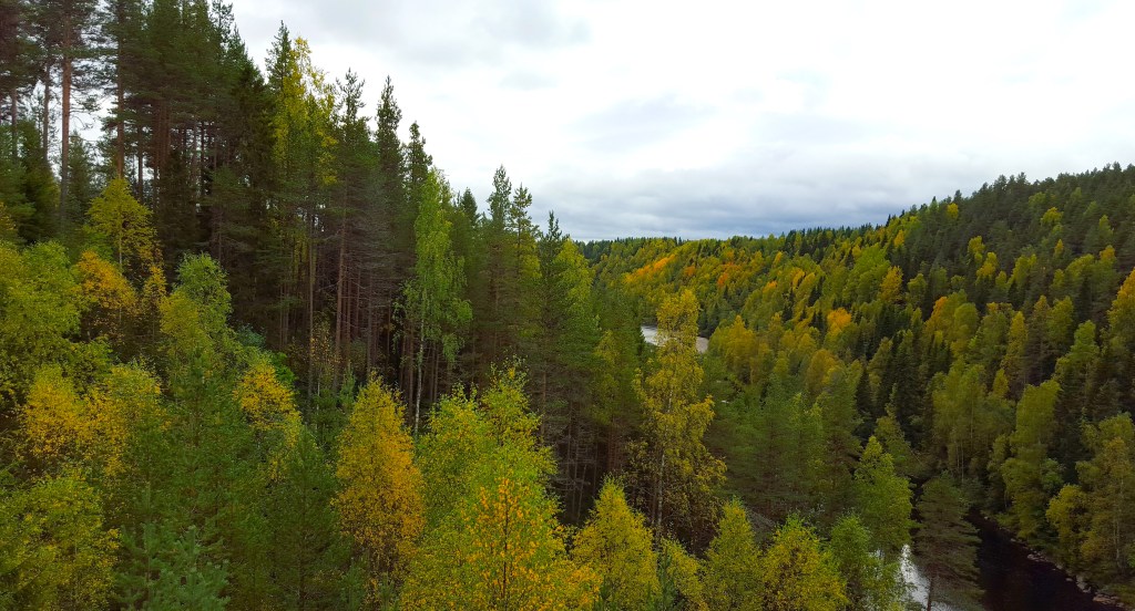 The Nordic Connection to the Nature